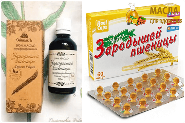 капсулы зародышей пшеницы