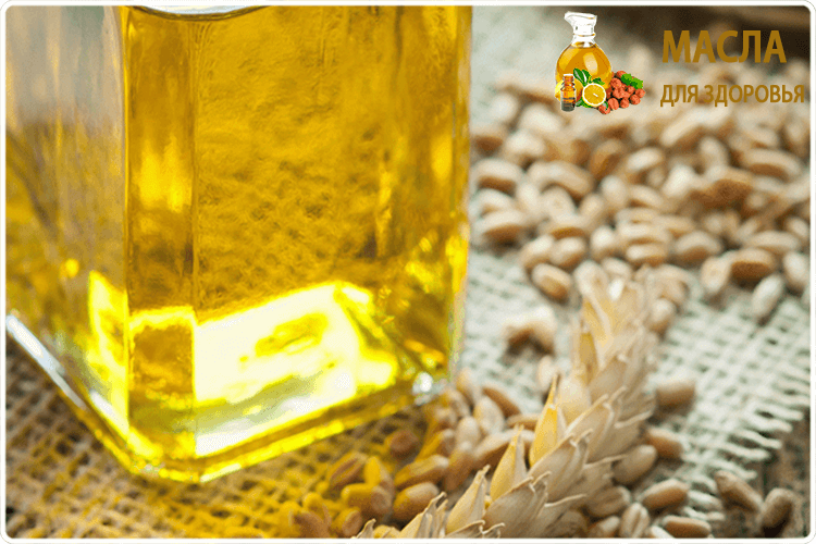 масло из пшеницы