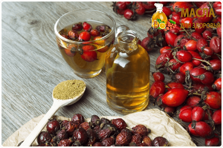 ягоды шиповника