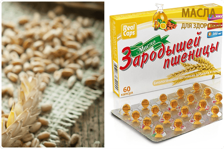 зародыши пшеницы