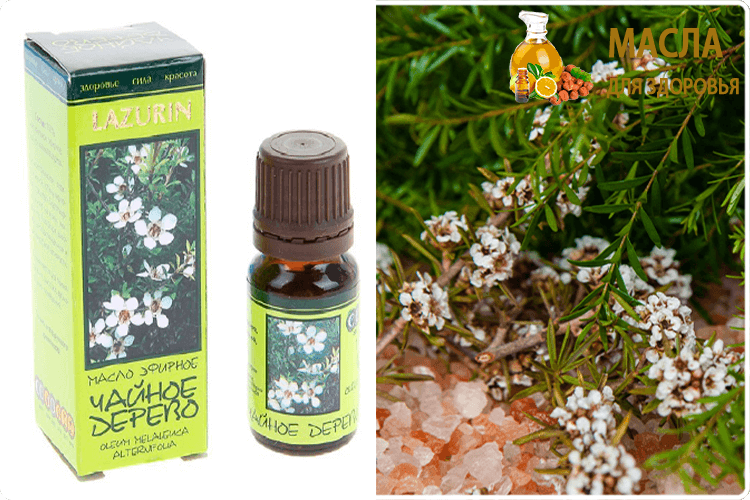 чайное дерево масло