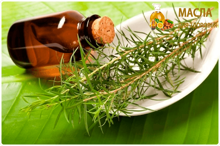 косметическое масло