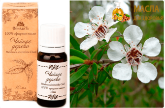 масло чайного дерева