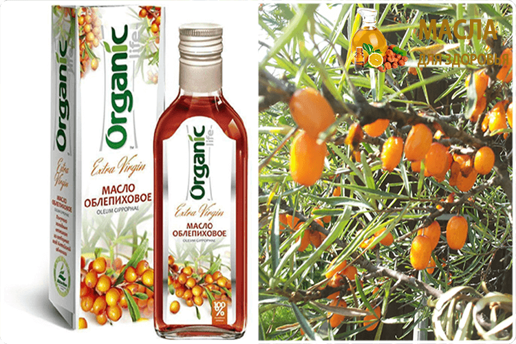 облепиховое масло