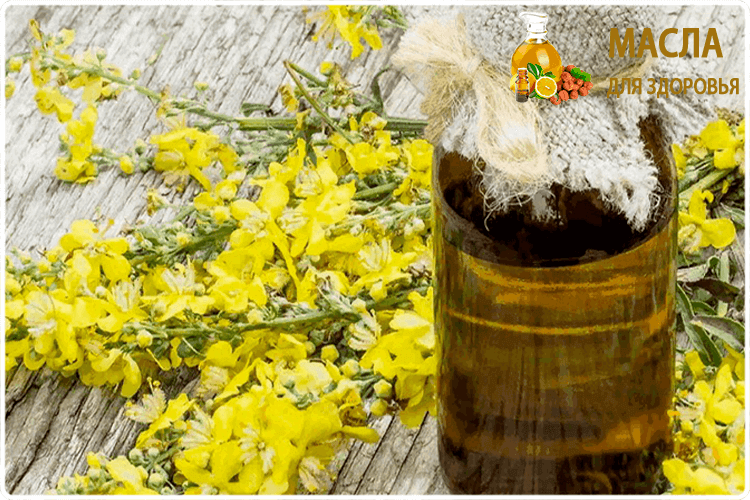 рыжик и масло