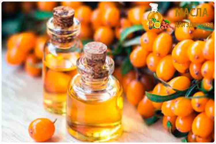 облепиховое масло и ягоды